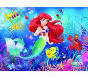 Ariel  150 dílků
