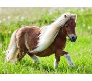 Malý pony 100 dílků XXL