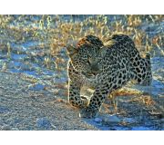 Leopard 1000 dílků